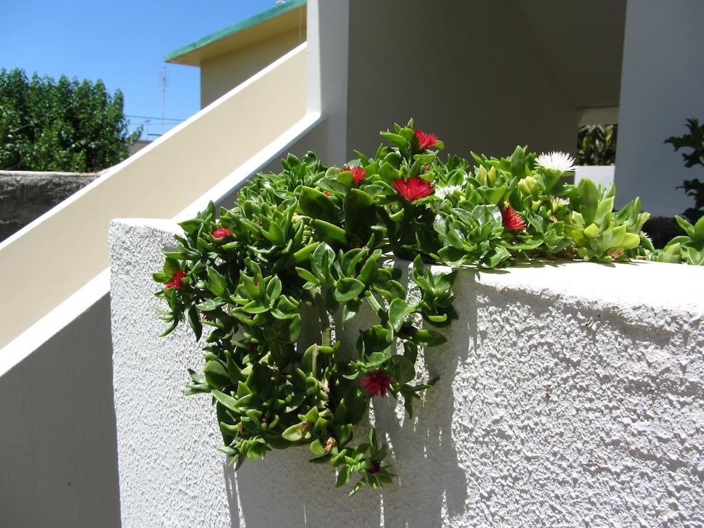 Michael Apartments Rethymno  Ngoại thất bức ảnh