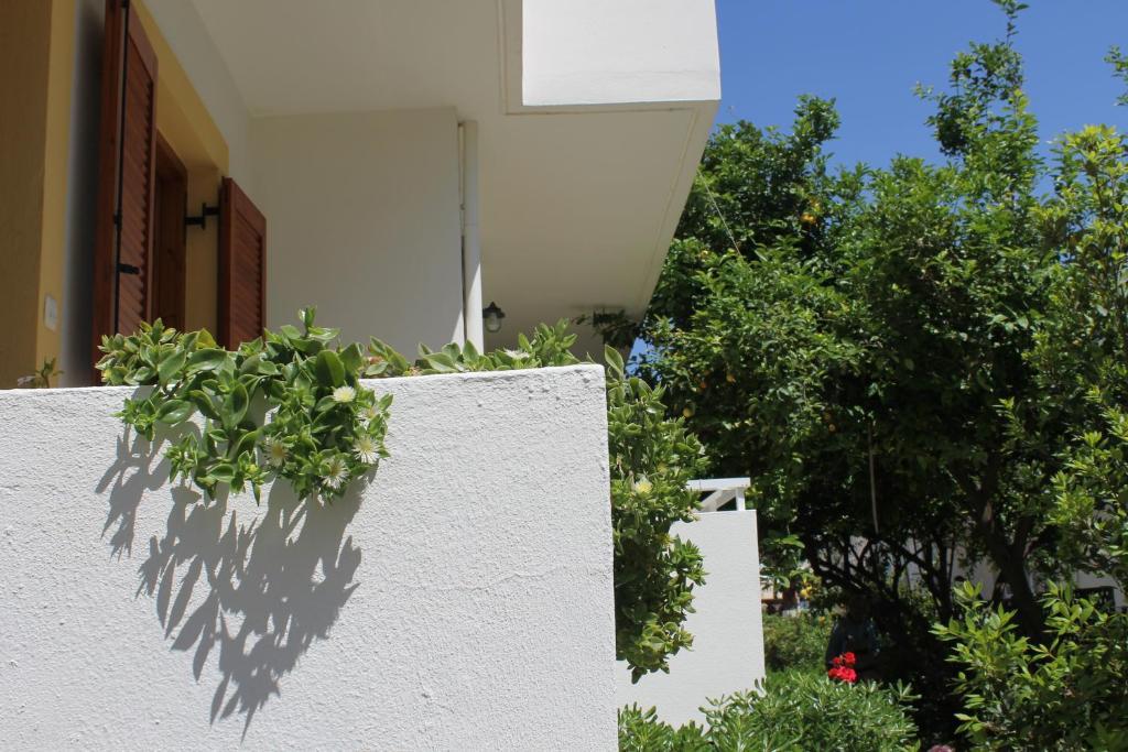 Michael Apartments Rethymno  Ngoại thất bức ảnh